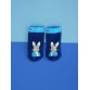 Peter Rabbit Navy Sock